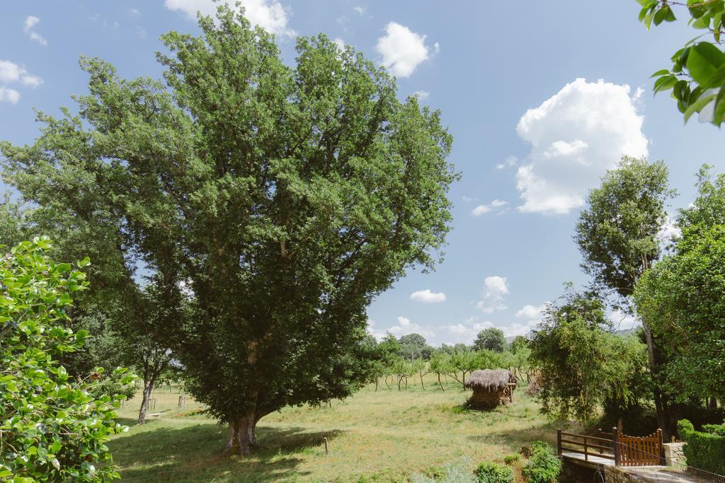 Pazo Da Pena Manzaneda Hotel Buitenkant foto