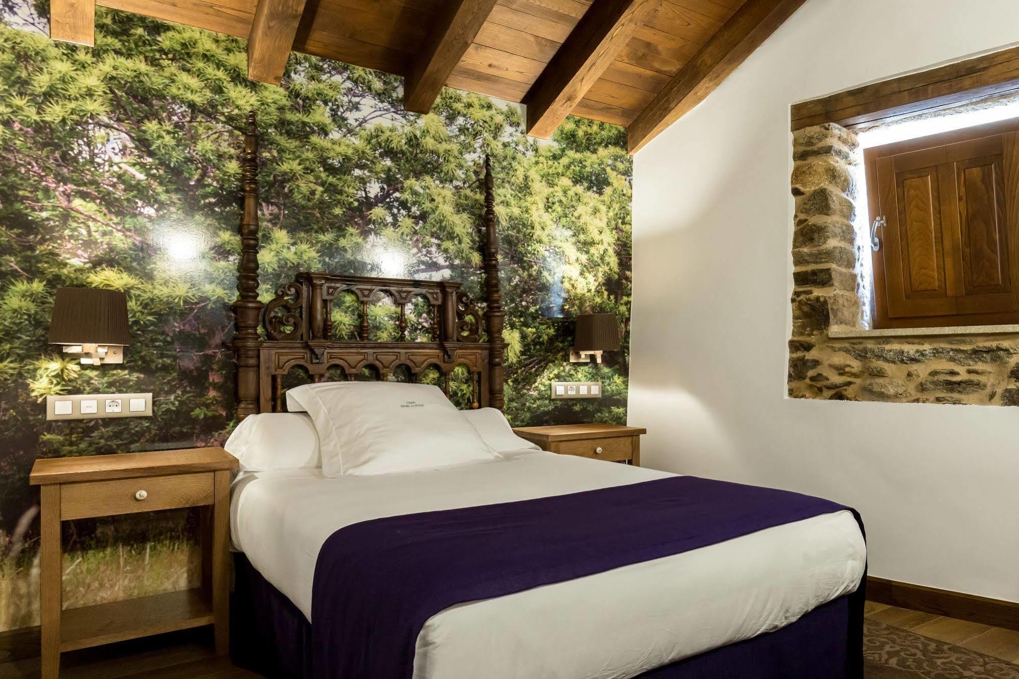 Pazo Da Pena Manzaneda Hotel Buitenkant foto
